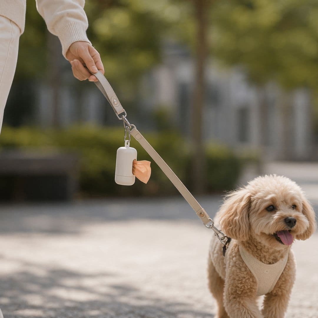 CleanBuddy- pojemnik na worki dla psa